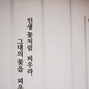 빛들케이크