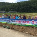 대구종합유통단지 전자상가 이미지