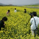 시냇물공원 이미지