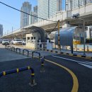 커피나무 꽃향기 | 모모스커피 본점 온천장 부산여행 카페 추천