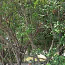 당항포그린횟집 이미지