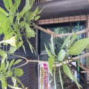 경산농협사정지점 이미지