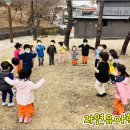 숲유치원 이미지