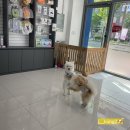 뭉쓰살롱 이미지