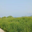 가술농장 이미지