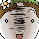 씽글하우스