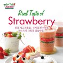 리얼도너츠