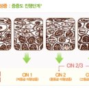 마리안여성의원 이미지