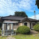 낙동강자전거길2L | 밀양 가을 테마여행 명례성지 낙동강뷰 한옥성당 명례성당 팽나무