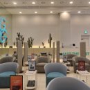 상상의원 이미지