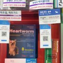 신흥종로약국 네이버블로그