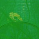굿 베리팜