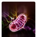 오베트한의원 이미지