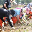 강진병영초등학교 이미지