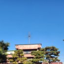 원조대추나무집 이미지