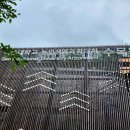 서울대학교 Daum카페