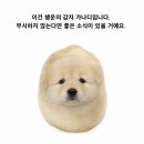 신음동네길 | 글쎄요, 뭐 잘 모르겠어요. 다음에 잘 먹고 살겠죠