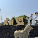 새별프렌즈 제주 동물원 먹이주기 어른 아이 모두가 즐거운 곳
