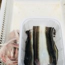 바다그리다 이미지