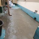 새들모텔 이미지