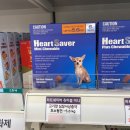 고은 동물약국 이미지