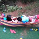 작은수해마을 이미지