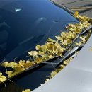 대운자동차정비 이미지