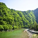 리버힐즈 캠핑장(푸른농원) 이미지