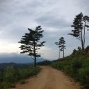 38선 숨길 디모테오길 이미지