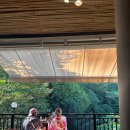 내몸을 깨우는 힐링요가(오전) A | 발리 - 우붓 악사리리조트 부대시설 후기(조식, 애프터눈티, 요가, 수영장) + 내돈내산