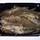 문어대장 이미지