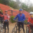 초록산등산로 이미지