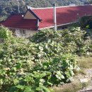 (주)충주수도