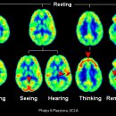 황금목욕탕 이미지