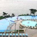 포커스게임장 이미지