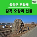 오향리선돌 이미지