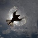 헬스라이프 이미지