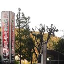 서울 서초구 삼호궁전 사우나 찜질방 양재시민의 숲이 가까이에 있는 곳