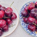 연세보스톤치과의원 이미지