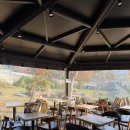 카페융가비 이미지