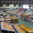 우리건강원 이미지