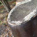 강정동-15 이미지