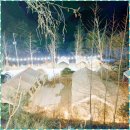 용소캠핑장 | 홍천캠핑장 용소계곡 알지캠프266 봄 캠핑장추천 후기