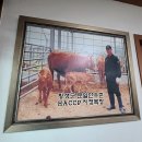 (주)한우촌 이미지