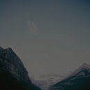 보미농장 이미지