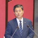 김영배 카카오 검색결과