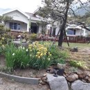 산척면사무소 이미지