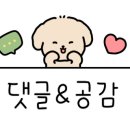 완주달빛카라반 이미지