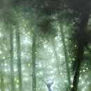 반짝반짝 - 3678 | 반짝반짝