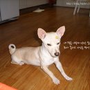 마*학 이미지